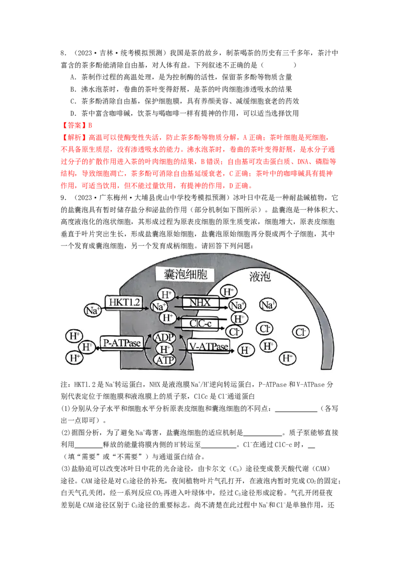 专题11细胞的分化、衰老与死亡（解析版）_2024年新高考资料_1.2024一轮复习_备战2024年高考生物一轮复习抢分特训（全国通用）