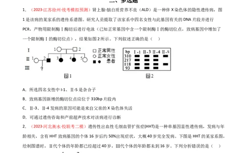 专题07伴性遗传与人类遗传病（原卷版）_2024年新高考资料_3.2024专项复习_备战2024年高考生物一轮复习重难点突破讲解与训练（新教材）