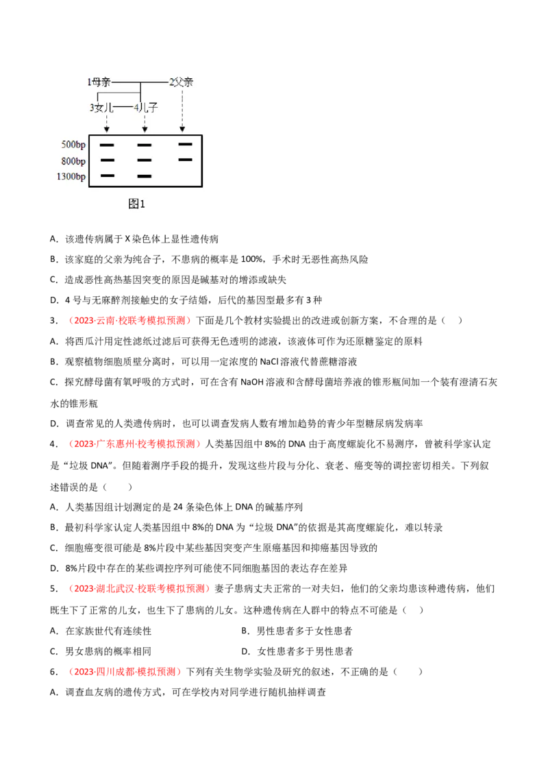 专题07伴性遗传与人类遗传病（原卷版）_2024年新高考资料_3.2024专项复习_备战2024年高考生物一轮复习重难点突破讲解与训练（新教材）