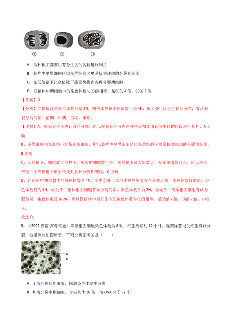 宝典06细胞的增殖和减数分裂（解析版）_2024年新高考资料_1.2024一轮复习_2024年高考生物一轮复习知识清单