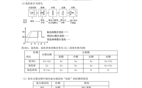 专题11细胞的增殖（串讲）（原卷版）_2024年新高考资料_1.2024一轮复习_备战2024年高考生物一轮复习串讲精练（新高考专用）