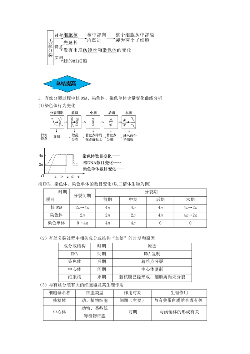 专题11细胞的增殖（串讲）（原卷版）_2024年新高考资料_1.2024一轮复习_备战2024年高考生物一轮复习串讲精练（新高考专用）