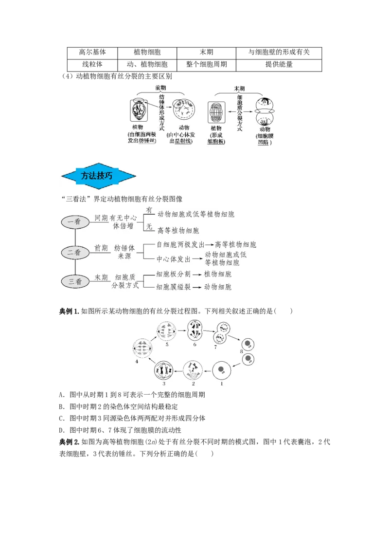 专题11细胞的增殖（串讲）（原卷版）_2024年新高考资料_1.2024一轮复习_备战2024年高考生物一轮复习串讲精练（新高考专用）