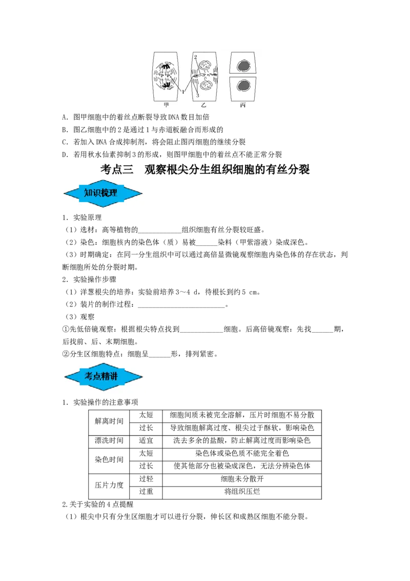 专题11细胞的增殖（串讲）（原卷版）_2024年新高考资料_1.2024一轮复习_备战2024年高考生物一轮复习串讲精练（新高考专用）