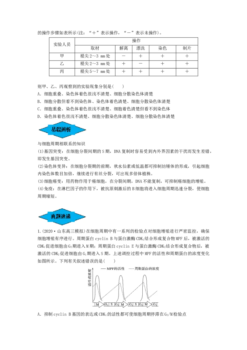 专题11细胞的增殖（串讲）（原卷版）_2024年新高考资料_1.2024一轮复习_备战2024年高考生物一轮复习串讲精练（新高考专用）