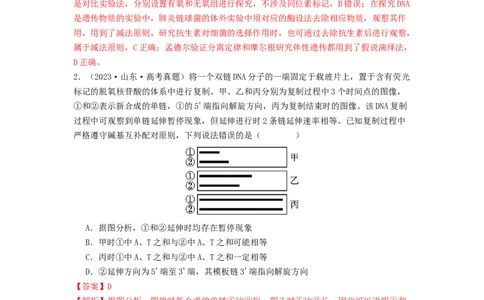 专题13遗传的分子基础（解析版）_2024年新高考资料_1.2024一轮复习_备战2024年高考生物一轮复习抢分特训（全国通用）