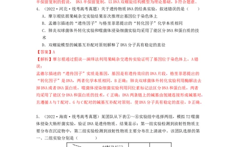 专题13遗传的分子基础（解析版）_2024年新高考资料_1.2024一轮复习_备战2024年高考生物一轮复习抢分特训（全国通用）