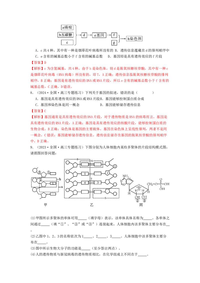 专题13遗传的分子基础（解析版）_2024年新高考资料_1.2024一轮复习_备战2024年高考生物一轮复习抢分特训（全国通用）