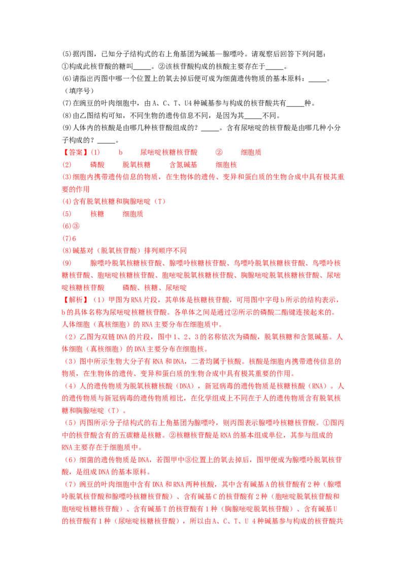 专题13遗传的分子基础（解析版）_2024年新高考资料_1.2024一轮复习_备战2024年高考生物一轮复习抢分特训（全国通用）