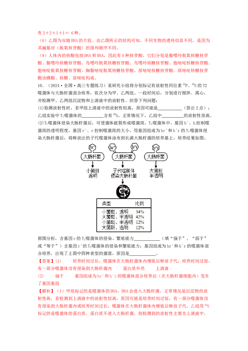 专题13遗传的分子基础（解析版）_2024年新高考资料_1.2024一轮复习_备战2024年高考生物一轮复习抢分特训（全国通用）