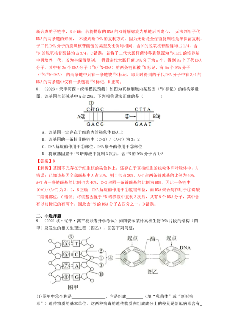 专题13遗传的分子基础（解析版）_2024年新高考资料_1.2024一轮复习_备战2024年高考生物一轮复习抢分特训（全国通用）