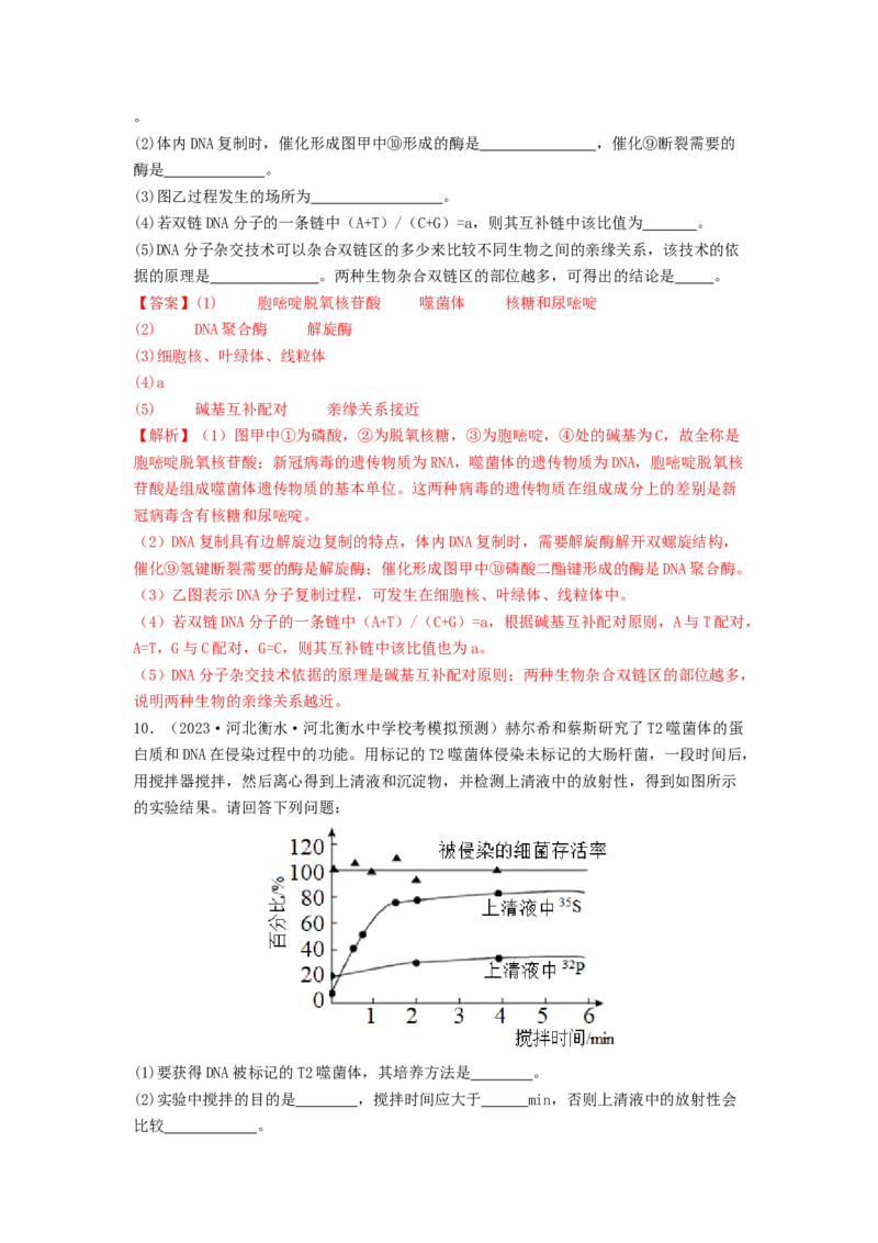 专题13遗传的分子基础（解析版）_2024年新高考资料_1.2024一轮复习_备战2024年高考生物一轮复习抢分特训（全国通用）