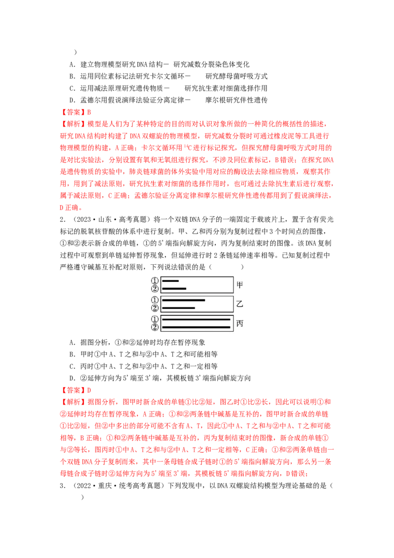 专题13遗传的分子基础（解析版）_2024年新高考资料_1.2024一轮复习_备战2024年高考生物一轮复习抢分特训（全国通用）