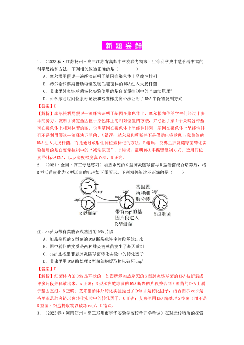 专题13遗传的分子基础（解析版）_2024年新高考资料_1.2024一轮复习_备战2024年高考生物一轮复习抢分特训（全国通用）