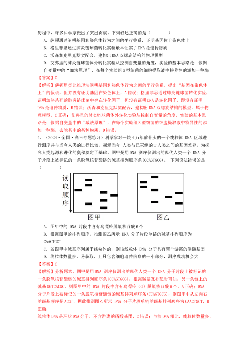专题13遗传的分子基础（解析版）_2024年新高考资料_1.2024一轮复习_备战2024年高考生物一轮复习抢分特训（全国通用）