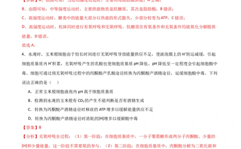 单元检测卷03细胞的能量供应和利用（解析版）_2024年新高考资料_1.2024一轮复习_2024年高考生物一轮复习考点通关卷（新高考通用）