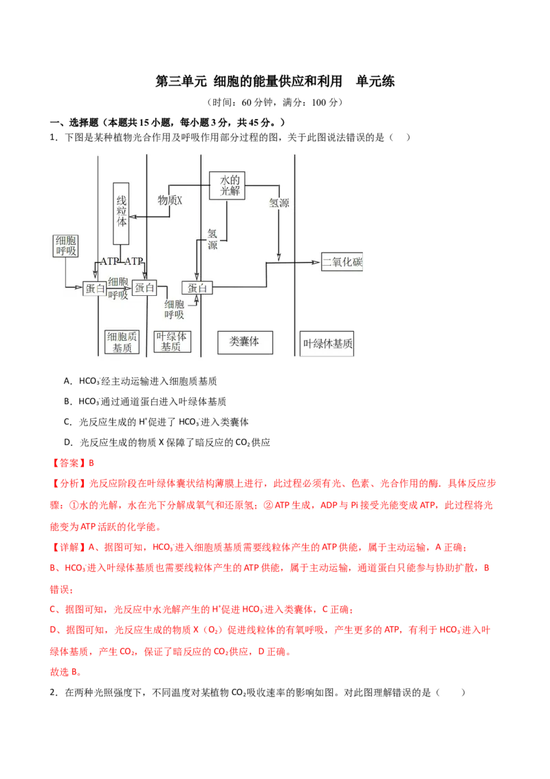 单元检测卷03细胞的能量供应和利用（解析版）_2024年新高考资料_1.2024一轮复习_2024年高考生物一轮复习考点通关卷（新高考通用）