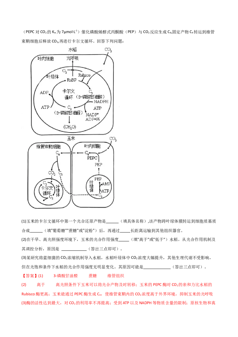 单元检测卷03细胞的能量供应和利用（解析版）_2024年新高考资料_1.2024一轮复习_2024年高考生物一轮复习考点通关卷（新高考通用）