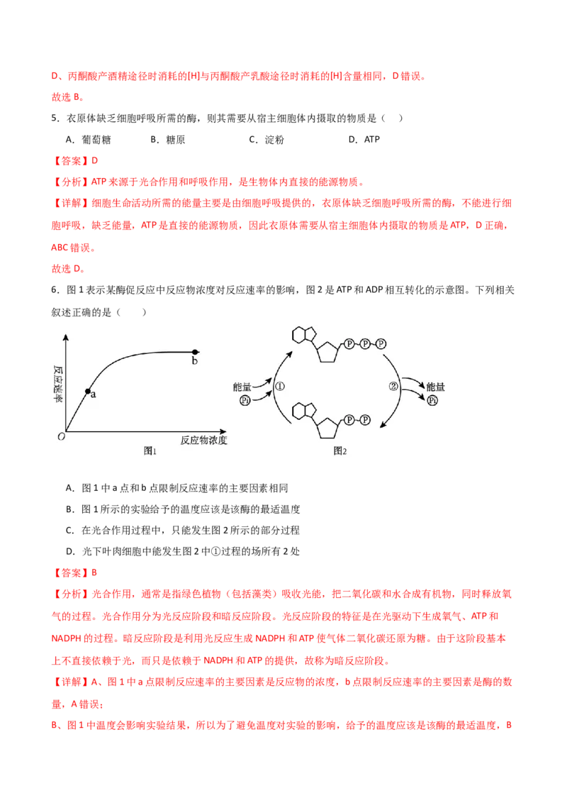单元检测卷03细胞的能量供应和利用（解析版）_2024年新高考资料_1.2024一轮复习_2024年高考生物一轮复习考点通关卷（新高考通用）