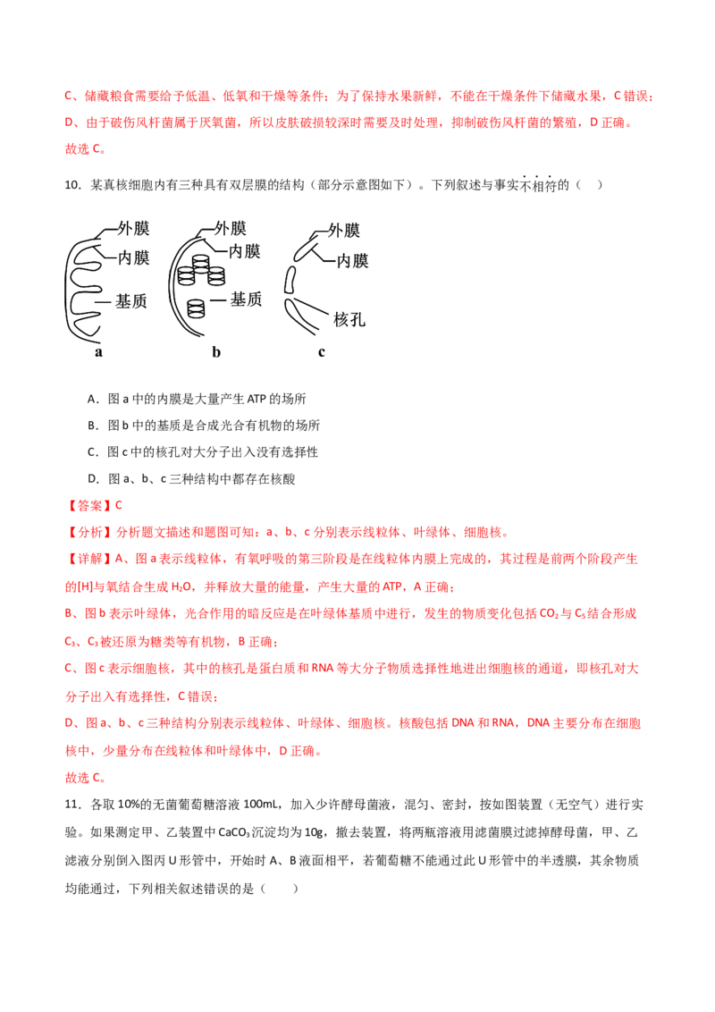 单元检测卷03细胞的能量供应和利用（解析版）_2024年新高考资料_1.2024一轮复习_2024年高考生物一轮复习考点通关卷（新高考通用）