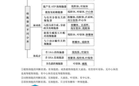 专题05细胞器和生物膜系统（串讲）（原卷版）_2024年新高考资料_1.2024一轮复习_备战2024年高考生物一轮复习串讲精练（新高考专用）