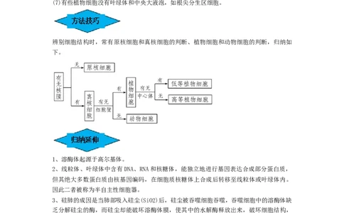 专题05细胞器和生物膜系统（串讲）（原卷版）_2024年新高考资料_1.2024一轮复习_备战2024年高考生物一轮复习串讲精练（新高考专用）