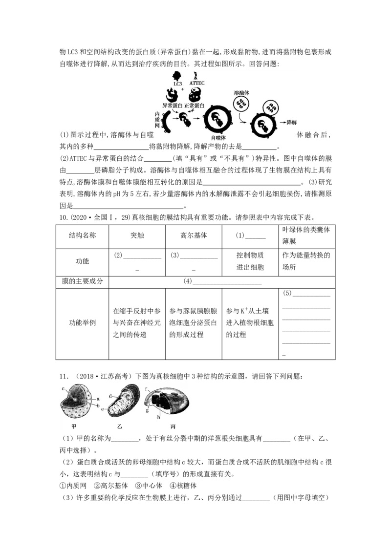 专题05细胞器和生物膜系统（串讲）（原卷版）_2024年新高考资料_1.2024一轮复习_备战2024年高考生物一轮复习串讲精练（新高考专用）