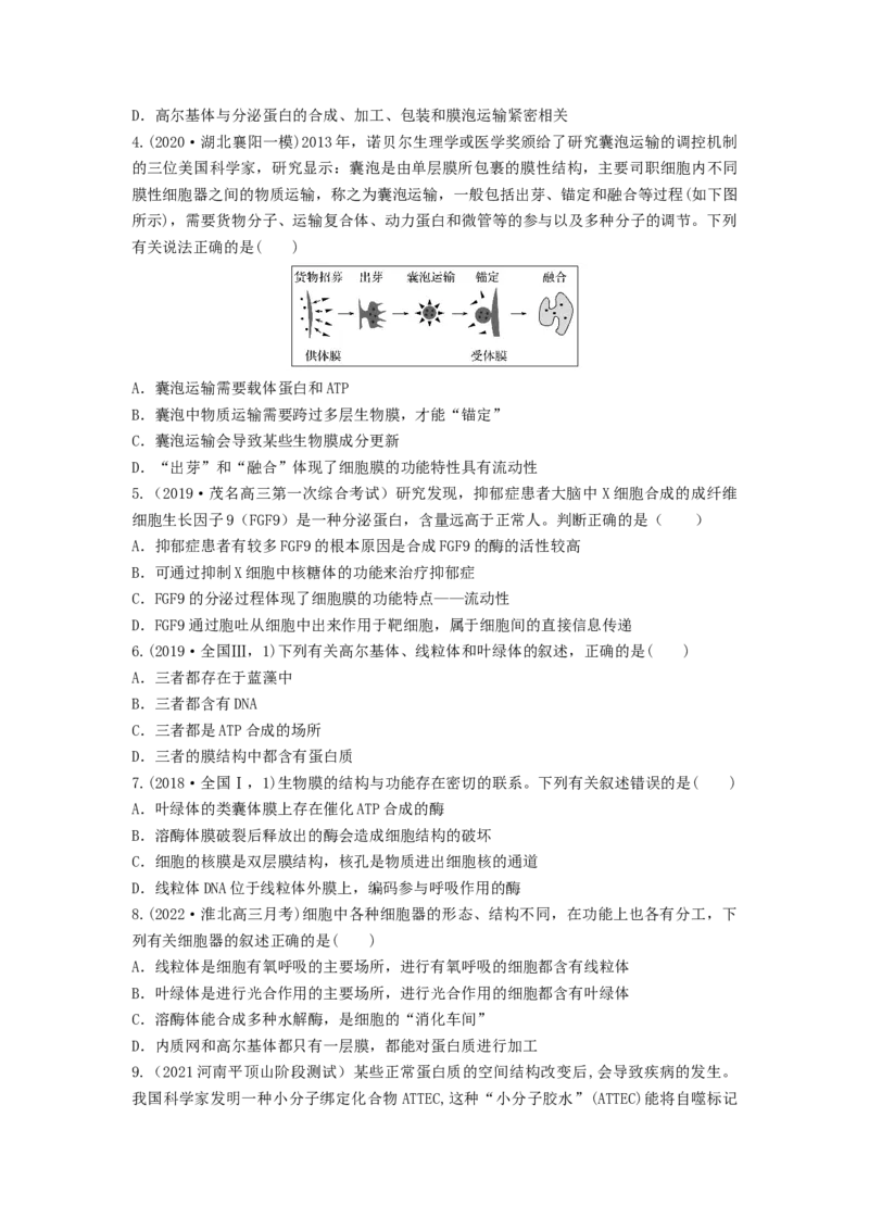 专题05细胞器和生物膜系统（串讲）（原卷版）_2024年新高考资料_1.2024一轮复习_备战2024年高考生物一轮复习串讲精练（新高考专用）
