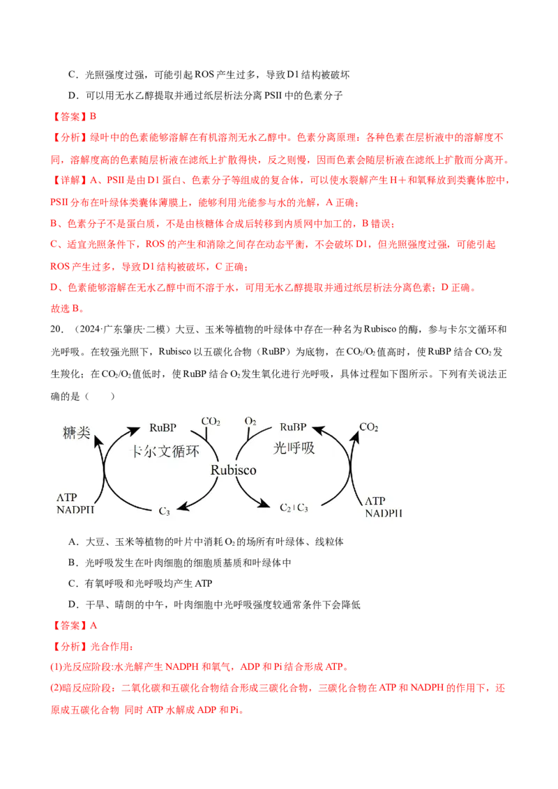 押广东卷选择题细胞的能量供应和生命历程（解析版）_2024年新高考资料_5.2024三轮冲刺_备战2024年高考生物临考题号押题（广东专用）323137816