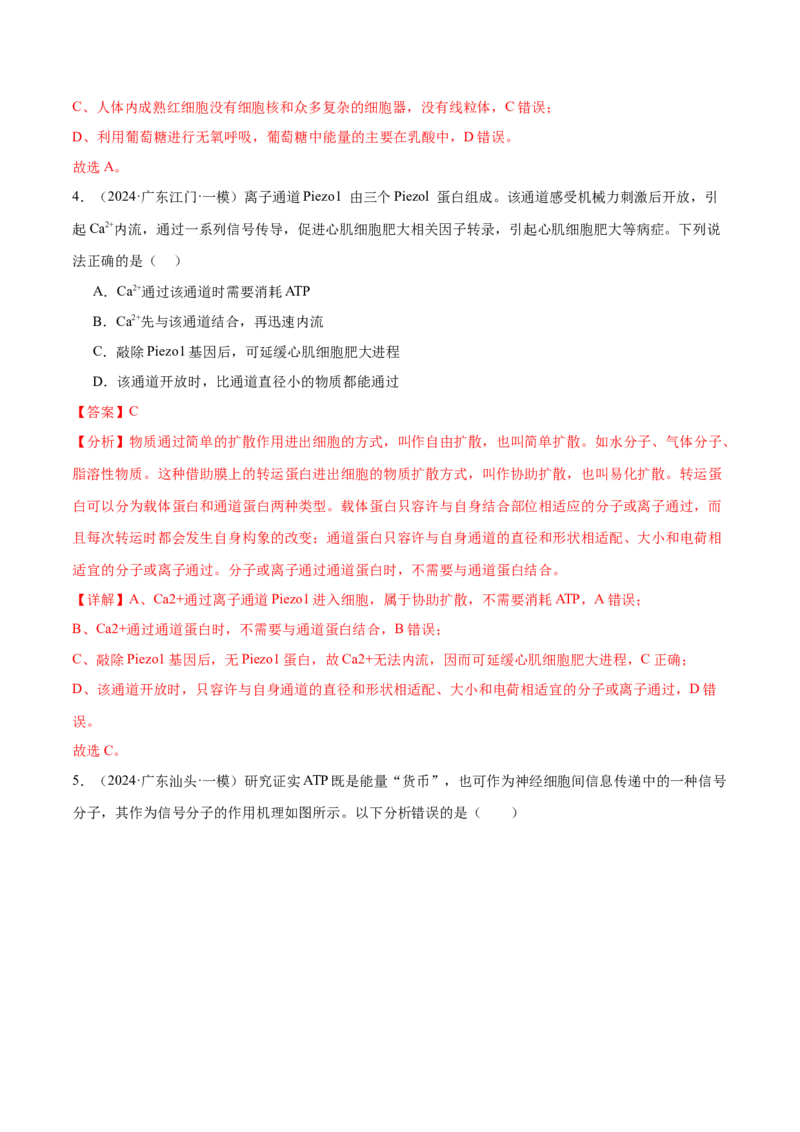 押广东卷选择题细胞的能量供应和生命历程（解析版）_2024年新高考资料_5.2024三轮冲刺_备战2024年高考生物临考题号押题（广东专用）323137816