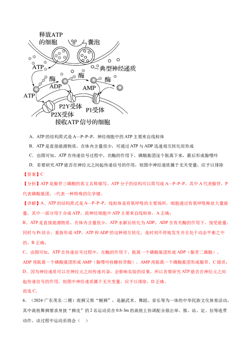 押广东卷选择题细胞的能量供应和生命历程（解析版）_2024年新高考资料_5.2024三轮冲刺_备战2024年高考生物临考题号押题（广东专用）323137816
