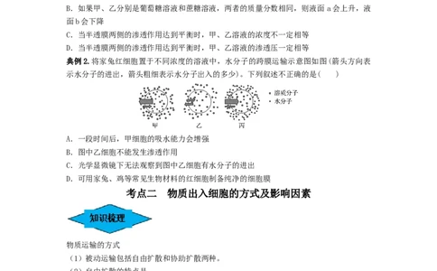 专题06细胞的物质输入和输出（串讲）（原卷版）_2024年新高考资料_1.2024一轮复习_备战2024年高考生物一轮复习串讲精练（新高考专用）