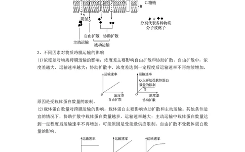 专题06细胞的物质输入和输出（串讲）（原卷版）_2024年新高考资料_1.2024一轮复习_备战2024年高考生物一轮复习串讲精练（新高考专用）