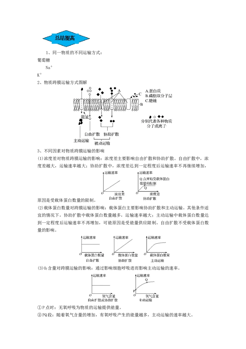 专题06细胞的物质输入和输出（串讲）（原卷版）_2024年新高考资料_1.2024一轮复习_备战2024年高考生物一轮复习串讲精练（新高考专用）
