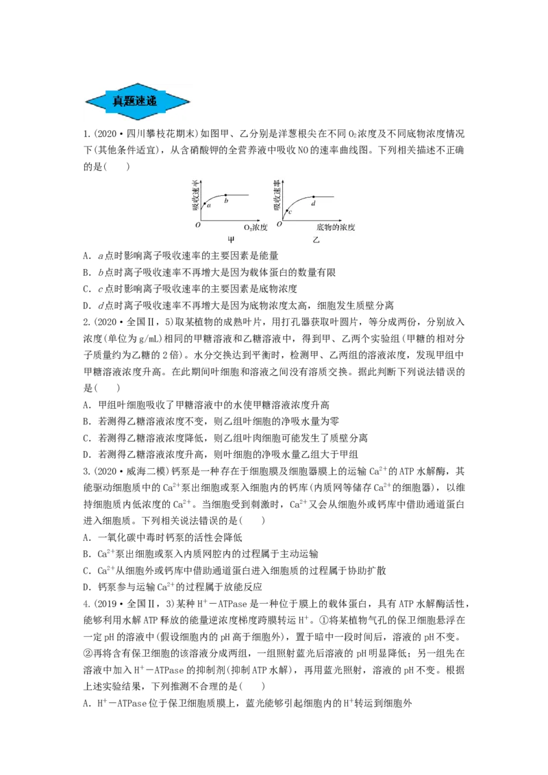 专题06细胞的物质输入和输出（串讲）（原卷版）_2024年新高考资料_1.2024一轮复习_备战2024年高考生物一轮复习串讲精练（新高考专用）