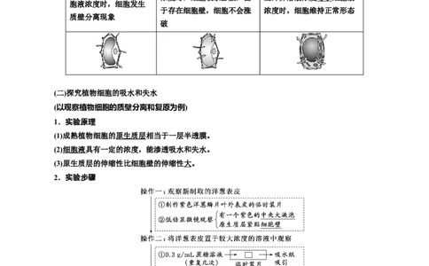 专题7物质运输（解析版)_2024年新高考资料_3.2024专项复习_备战2024年高考生物一轮复习重难点专项突破_专题07物质运输-备战2024年高考生物一轮复习重难点专项突破