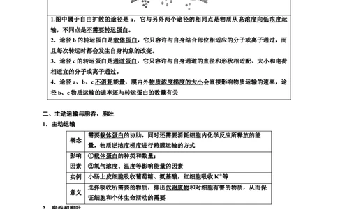 专题7物质运输（解析版)_2024年新高考资料_3.2024专项复习_备战2024年高考生物一轮复习重难点专项突破_专题07物质运输-备战2024年高考生物一轮复习重难点专项突破