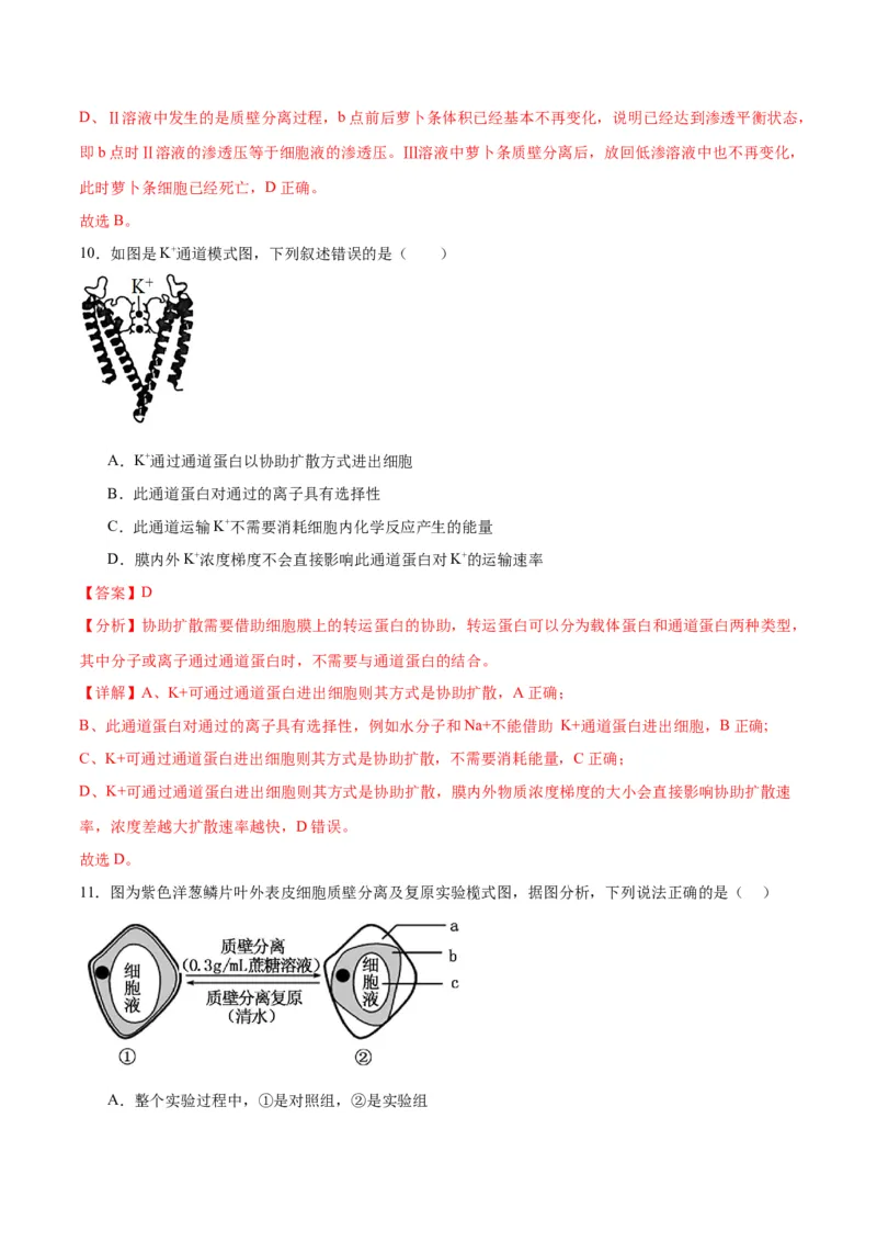 专题7物质运输（解析版)_2024年新高考资料_3.2024专项复习_备战2024年高考生物一轮复习重难点专项突破_专题07物质运输-备战2024年高考生物一轮复习重难点专项突破