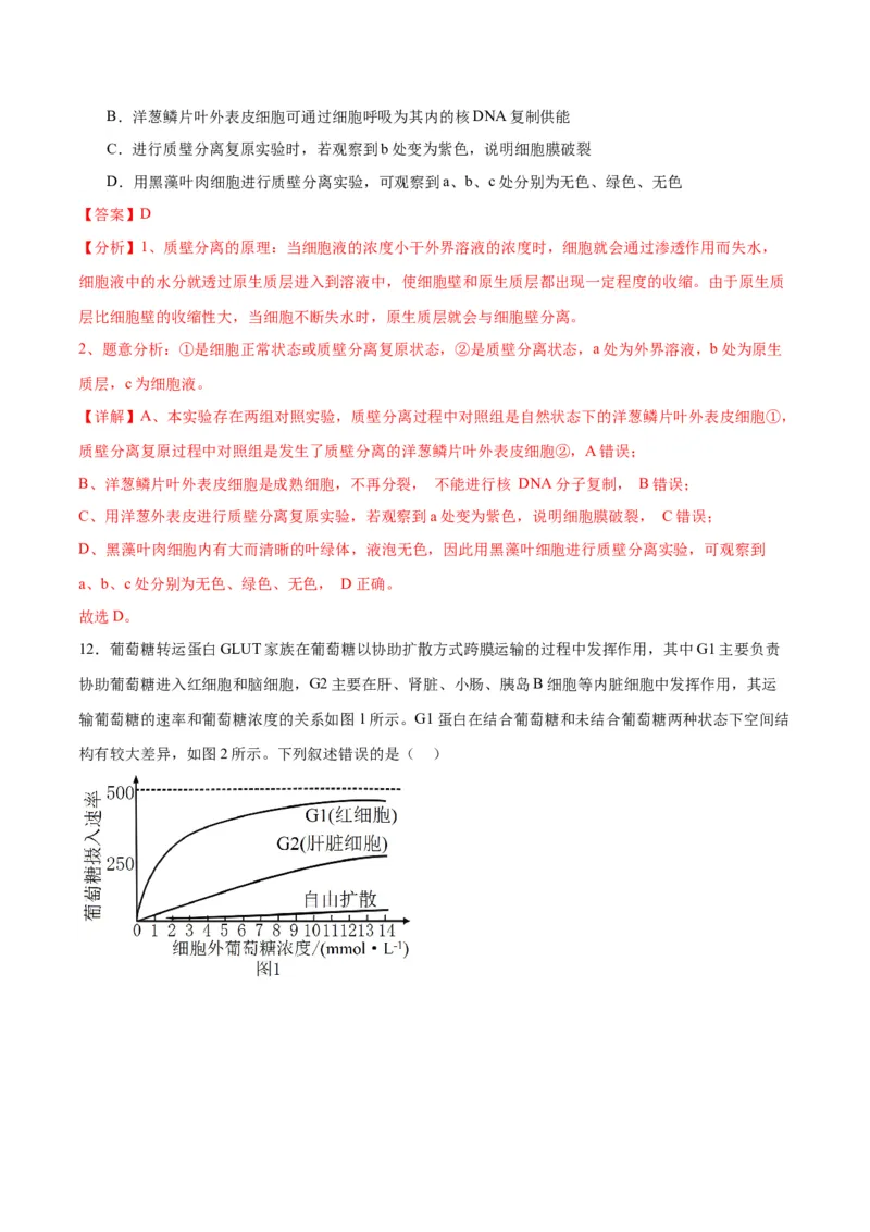 专题7物质运输（解析版)_2024年新高考资料_3.2024专项复习_备战2024年高考生物一轮复习重难点专项突破_专题07物质运输-备战2024年高考生物一轮复习重难点专项突破