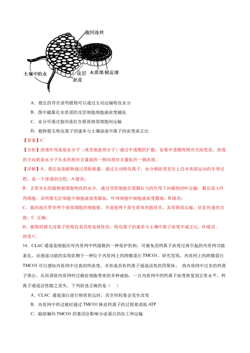 专题7物质运输（解析版)_2024年新高考资料_3.2024专项复习_备战2024年高考生物一轮复习重难点专项突破_专题07物质运输-备战2024年高考生物一轮复习重难点专项突破