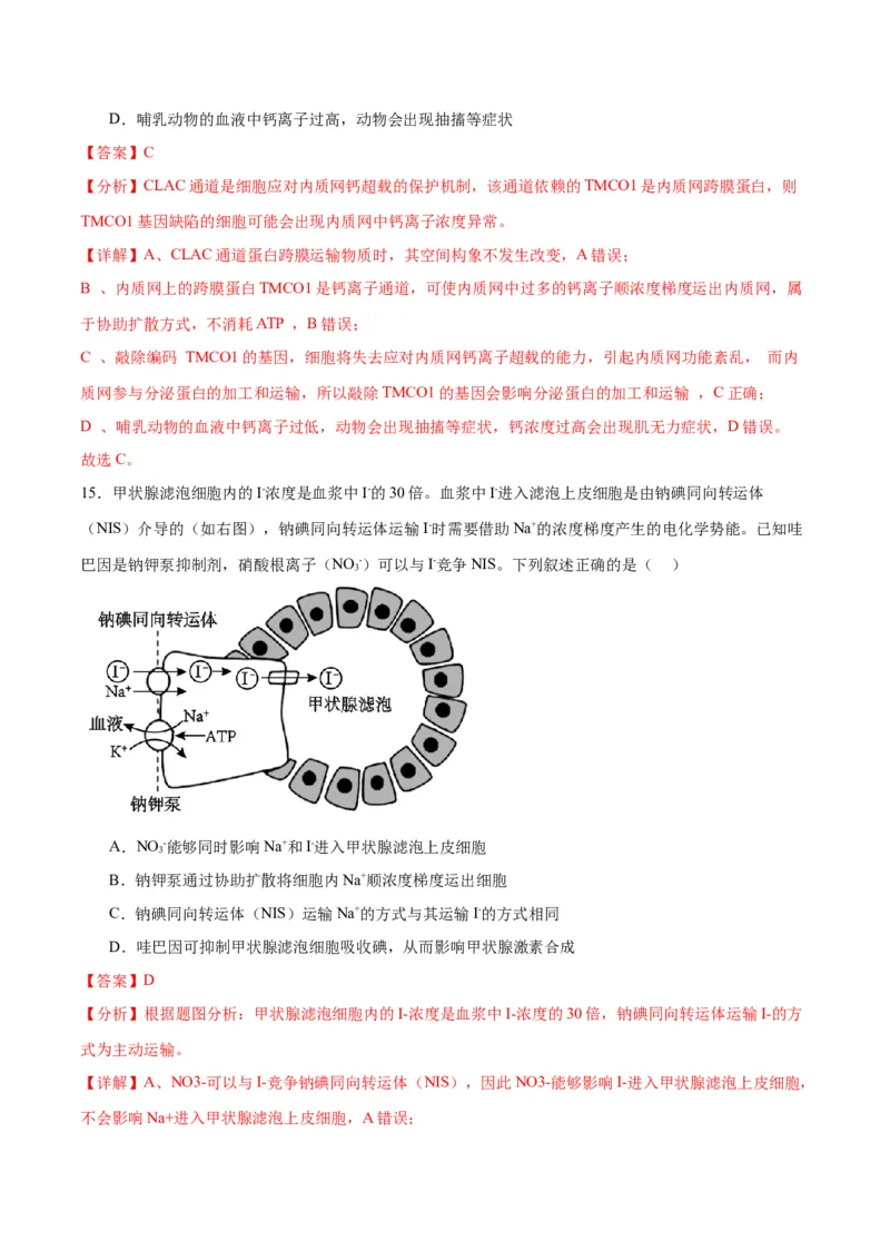 专题7物质运输（解析版)_2024年新高考资料_3.2024专项复习_备战2024年高考生物一轮复习重难点专项突破_专题07物质运输-备战2024年高考生物一轮复习重难点专项突破