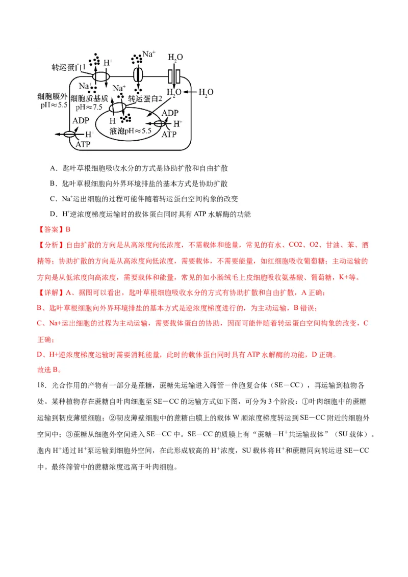 专题7物质运输（解析版)_2024年新高考资料_3.2024专项复习_备战2024年高考生物一轮复习重难点专项突破_专题07物质运输-备战2024年高考生物一轮复习重难点专项突破