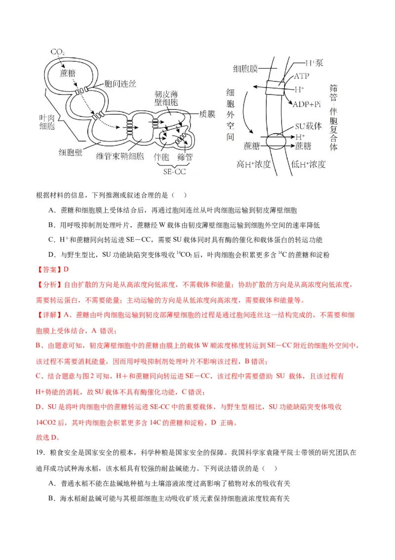 专题7物质运输（解析版)_2024年新高考资料_3.2024专项复习_备战2024年高考生物一轮复习重难点专项突破_专题07物质运输-备战2024年高考生物一轮复习重难点专项突破