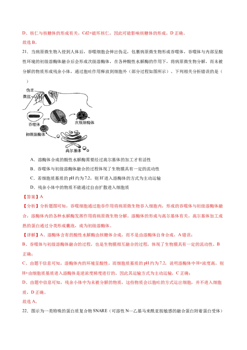 专题7物质运输（解析版)_2024年新高考资料_3.2024专项复习_备战2024年高考生物一轮复习重难点专项突破_专题07物质运输-备战2024年高考生物一轮复习重难点专项突破