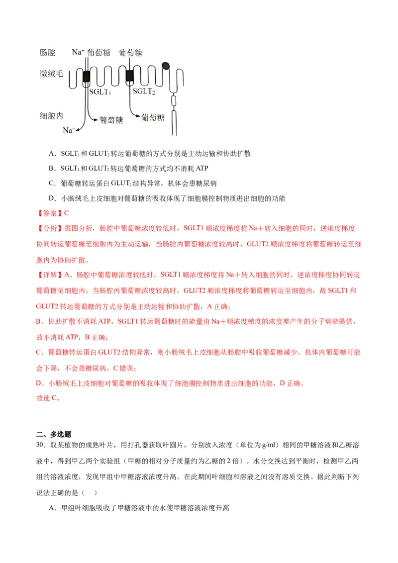 专题7物质运输（解析版)_2024年新高考资料_3.2024专项复习_备战2024年高考生物一轮复习重难点专项突破_专题07物质运输-备战2024年高考生物一轮复习重难点专项突破
