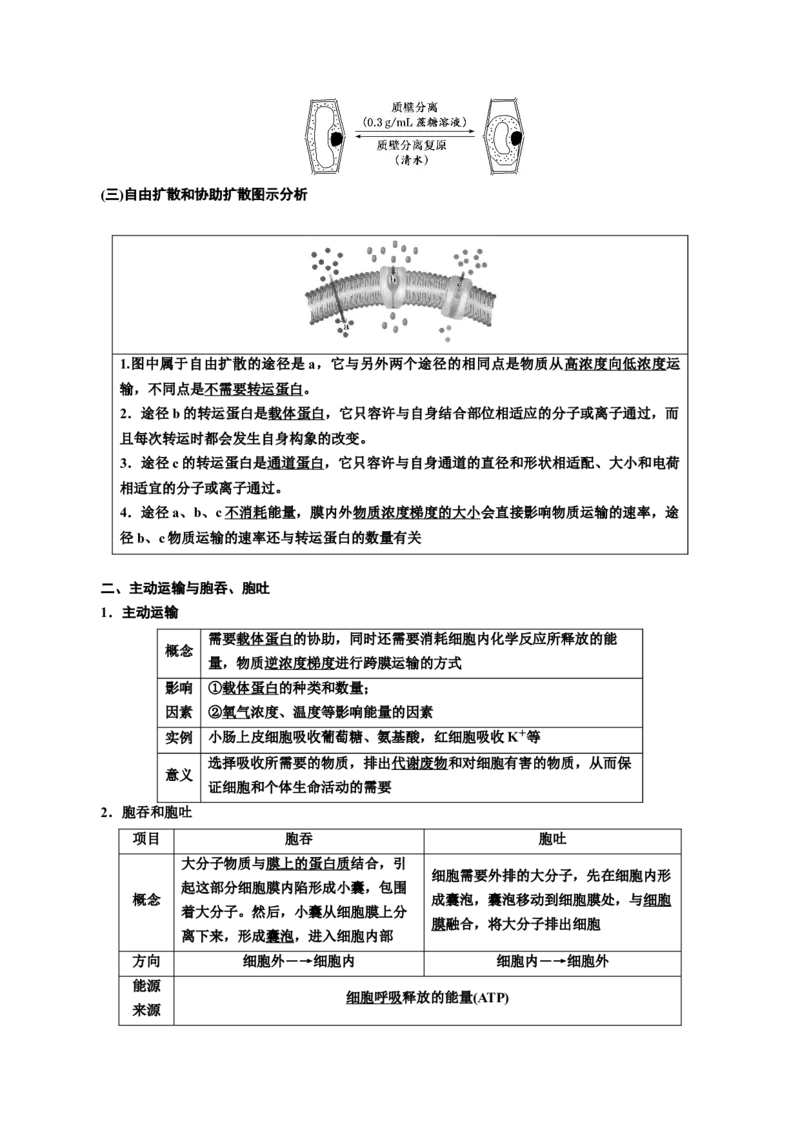 专题7物质运输（解析版)_2024年新高考资料_3.2024专项复习_备战2024年高考生物一轮复习重难点专项突破_专题07物质运输-备战2024年高考生物一轮复习重难点专项突破