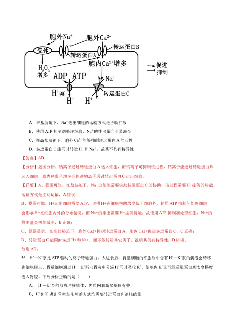 专题7物质运输（解析版)_2024年新高考资料_3.2024专项复习_备战2024年高考生物一轮复习重难点专项突破_专题07物质运输-备战2024年高考生物一轮复习重难点专项突破