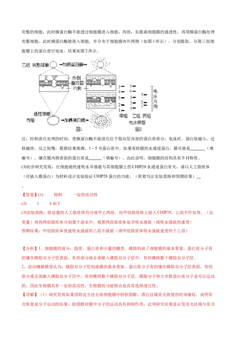 专题7物质运输（解析版)_2024年新高考资料_3.2024专项复习_备战2024年高考生物一轮复习重难点专项突破_专题07物质运输-备战2024年高考生物一轮复习重难点专项突破