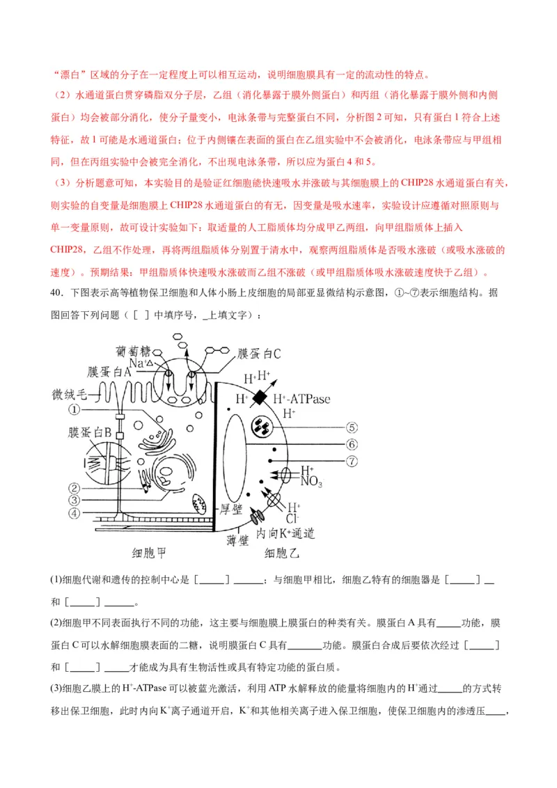 专题7物质运输（解析版)_2024年新高考资料_3.2024专项复习_备战2024年高考生物一轮复习重难点专项突破_专题07物质运输-备战2024年高考生物一轮复习重难点专项突破