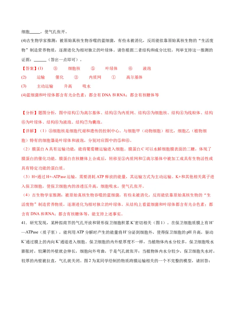 专题7物质运输（解析版)_2024年新高考资料_3.2024专项复习_备战2024年高考生物一轮复习重难点专项突破_专题07物质运输-备战2024年高考生物一轮复习重难点专项突破